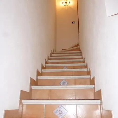 Cvc 